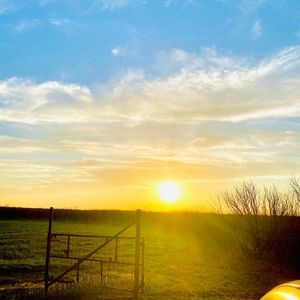 Meet your Posher, Sybilla